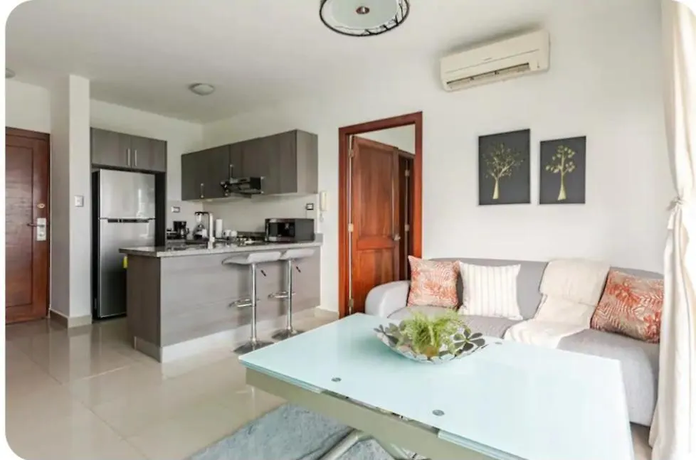 Condo Apartment Санто-Доминго