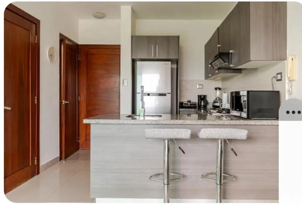 Condo Apartment Санто-Доминго